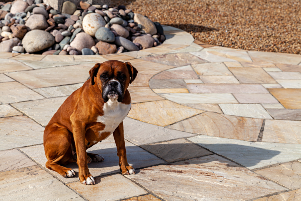 pet safe jointing compound