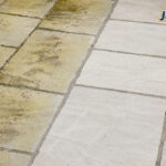 prevent patio algae