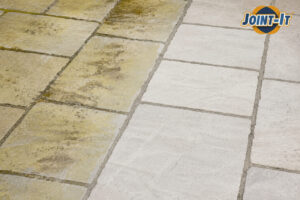 How to Prevent Algae on Your Patio ￼