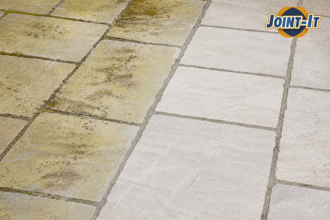 prevent patio algae