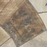 Fossils-in-sandstone-paving-cover