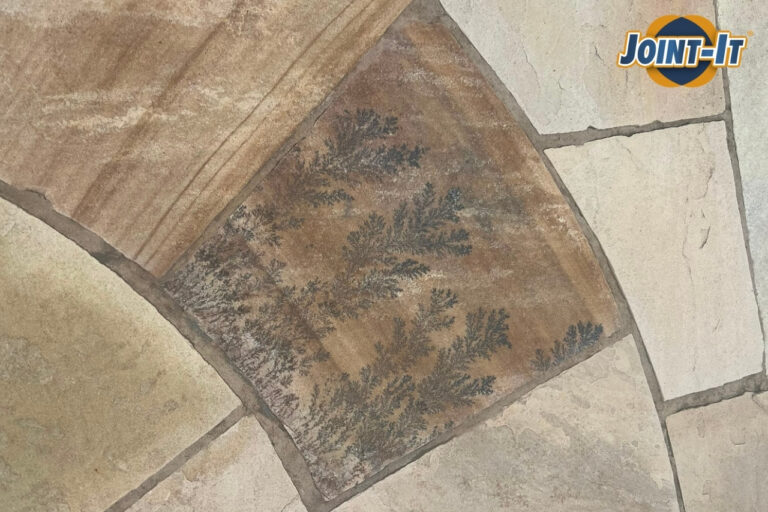 Fossils in Sandstone: What Are Those Markings in Your Paving?